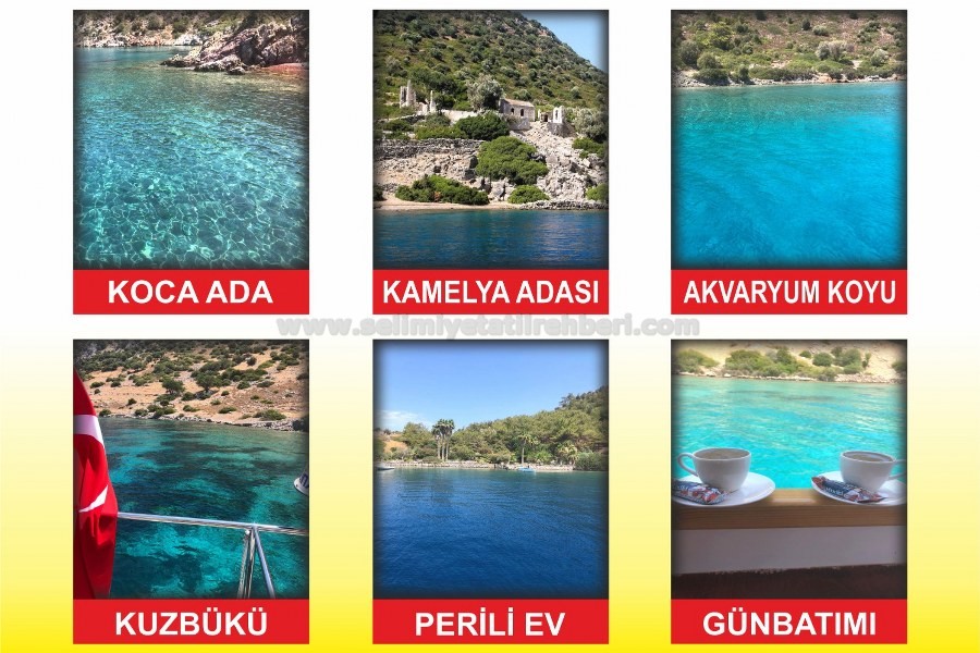 DERİN DENİZ A. TEKNESİ